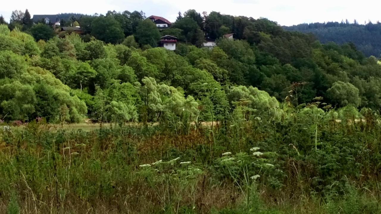 Ferienhaus Im Ederbergland Villa Hatzfeld Екстериор снимка